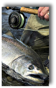 Hoodoo River Salmon Fishing